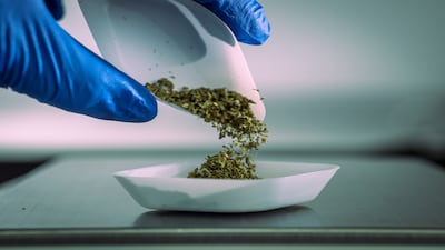 Widening access to medical cannabis