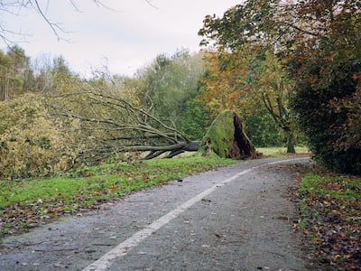 ‘Danger to life’: Storm Éowyn shuts down NI pharmacies